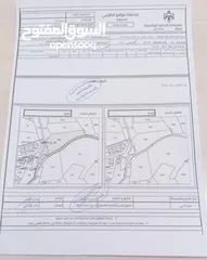  6 قطعة أرض للبيع من المالك مباشرة بسعر خيالي ناعور / ابو الغزلان مساحة 20دونم