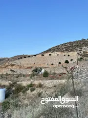  4 مزرعة في مغاريب السلط من المالك مباشرة