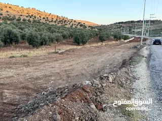  5 ارض للبيع مساحه 6 دونم و 400 متر النعيمه مستصلحه واصل كهرباء على شارع معبد 10 متر وقريبه من الخدمات