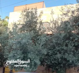  5 بيت مستقل طابقين أول طلوع عدن