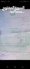  14 كيا موديل 93 السعر 1150