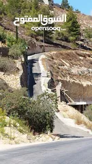  3 ارض للبيع واد القف