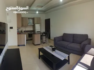  24 شقة مفروشة للايجار في عبدون