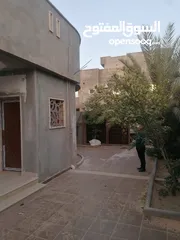  10 منزل للبيع في ابوسليم وراء مسجد ابوشعالة