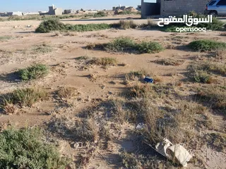 4 قطعة أرض فاضيه في الترية قبل شيل بنزينة  موقعها ثاني قطعة قبل شط البحر