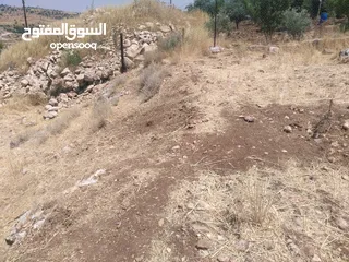  6 ارض للبيع في عجلون (صخرة)