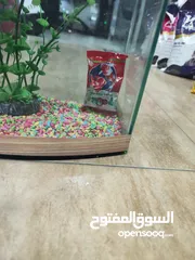  3 حوض سمك مجهز بالكامل الطول 40 سم العمق 20 سم ارتفاع 31 سم