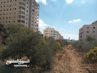  2 ارض دائرة السير