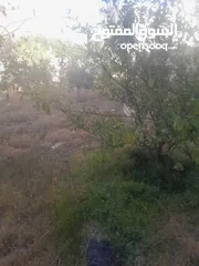  5 منزل للييع