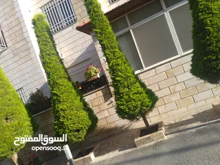  4 شقة أرضية 144م ضاحية الأمير راشد  مع ترسات 200   م  بسعر 100 ألف صافي نهائي