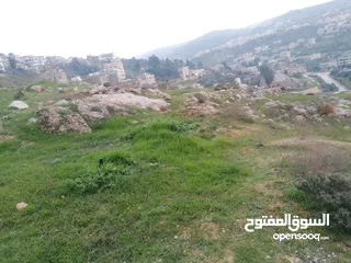  4 فرز جديد أجمل ارض في عجلون مرتفعه على جبل ومطله على جبال عجلون لغايات السكن / فلل / اسكانات