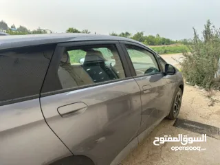  5 Byd  electric 2025