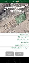  6 مزرعة 6 دونومات في محافظة مادبا غرب ماعين مطلة على البحر الميت وفلسطين الحبيبة