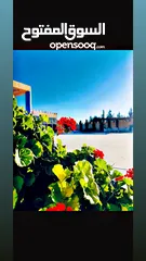  18 مزرعه صوفيا طريق المطار ام العمد  للاجار اليومي والمناسبات