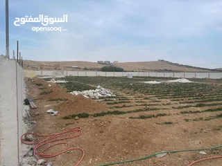  5 ارض زراعية في بلعما للبيع مساحتها 3500 متر