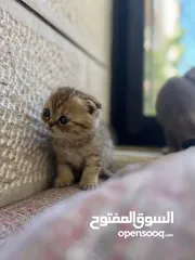  14 بسم الله ما شاء الله