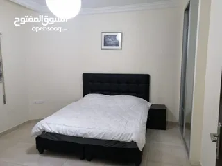  7 استديو مفروش للايجار شفا بدران