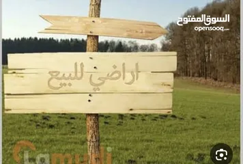  1 قطعة أرض للبيع(الماضونة) مقابل جمرك عمان الجديد من المالك مباشرة