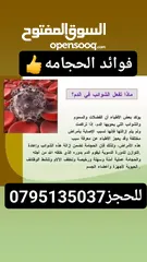  6 زرع طبيعي - نباتات زراعيه _ قوارير زرع طبيعيه للبيع