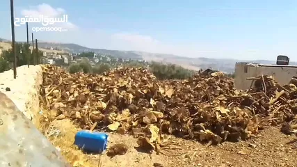  14 حطب زيتون يابس لمطاعم الزرب