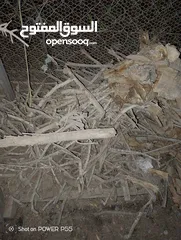  22 تشكيلة حطب للبيع