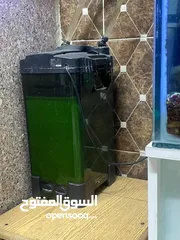  2 حوض سمك للبيع