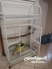  1 big cage for parrot for sale