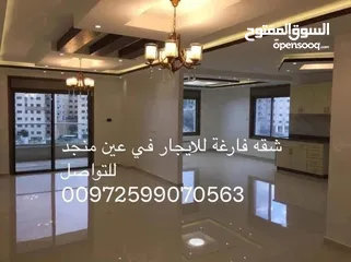  2 شقه فارغة في في عين منجد