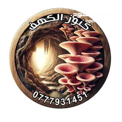  1 فطر محاري بلدي