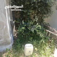  9 بيت طابقين  في ناطفه اقراء الوصف لتفاصيل اكثر كلشي مكتوب بالوصف
