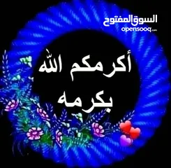  1 فحول حب هوجو رومو للبيع او البدل على دجاج