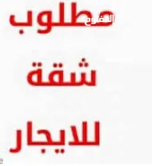  2 مطلوب شقة مفروشة بالكرادة