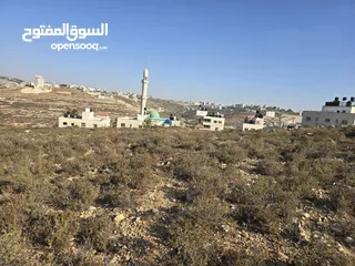  5 ارض مربعه الشكل اطلاله جميله تصلح لبناء فيله وللأساثمار