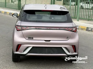  10 BYD دولفين 2022