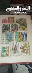  7 Stamp collection