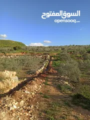  2 ارض للبيع منطقة جيوس قلقيلية