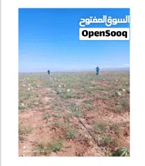  9 نِيغده – بور (Niğde – Bor)  من أجمل وأخصب المناطق الزراعية في تركيا  للبيع 10 ألف دونم ارض زراعية