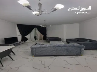  1 للايجار الشهري شقة غرفتين و صالة مفروشة في أبراج الواحة في عجمان بمنطقة الراشدية