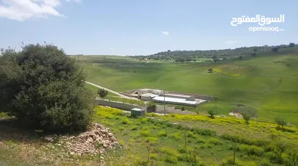  15 قطعه أرض في اجمل مواقع عجلون