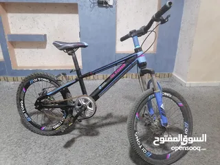  3 بسكليت امريكي
