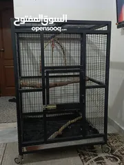  5 قفص  ببغاء  كاسكو أو مكاوي تفصيل متحرك بعجال  حجم كبير وثقيل وشي مرتب