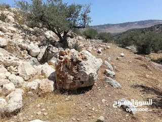  2 شقة للبيع او للتبديل