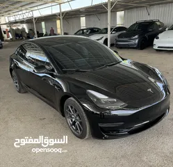  2 Tesla 3 stander plus 2023
