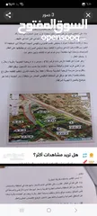  4 ارض للبيع الرباحيه الجنوبيه