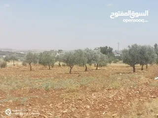  1 3400م للبيع واصل خدمات منطقه رحاب بني حسن بالقرب من طريق اربد الزرقاء الرئيسي من المالك مباشره