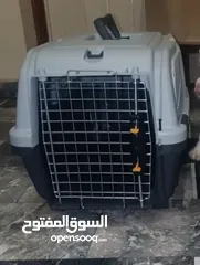  6 للبيع  بوكسات للقطط  او للكلاب صغيرة الحجم