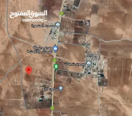  3 أرض استثمارية للبيع في قرية مجدولين محافظة الكرك