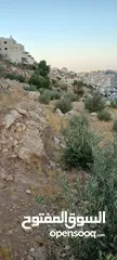  1 قطعتين أرض طابو قطعة 580 وقطعة 500