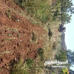  13 مزرعة وفلة للبيع بموقع ممتاز