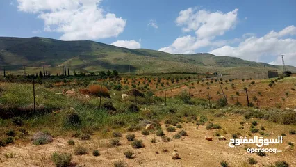  5 أرض للبيع اطلالة رائعة